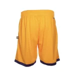 Yellow Takashi Murakami ComplexCon x LA Lakers M&N Basketball Shorts Back View